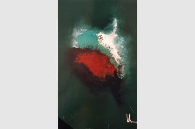 MYCALE Laque sur toile (30x50) not sold