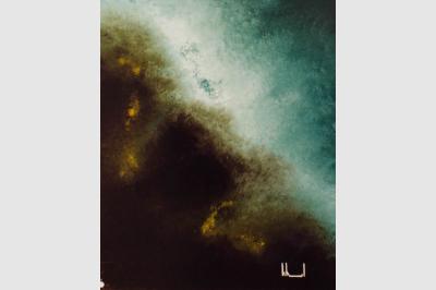 TOMBANT laque sur toile(60x90)not sold