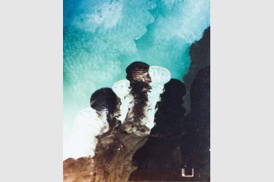 BINOME laque sur toile(50x70 not sold