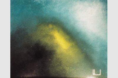APLYSIA laque sur toile(50x70)not sold